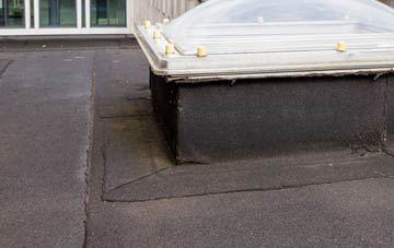 disadvantages of Rudloe flat roofs