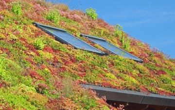 Rudloe living roof systems