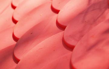 Rudloe plastic roof costs