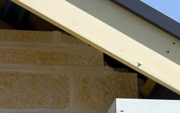 soffit repair Rudloe